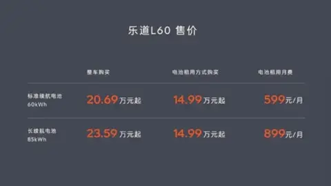 夏日20万级纯电SUV，买极氪7X还是蔚来乐道L60，怎么买都讲清楚了
