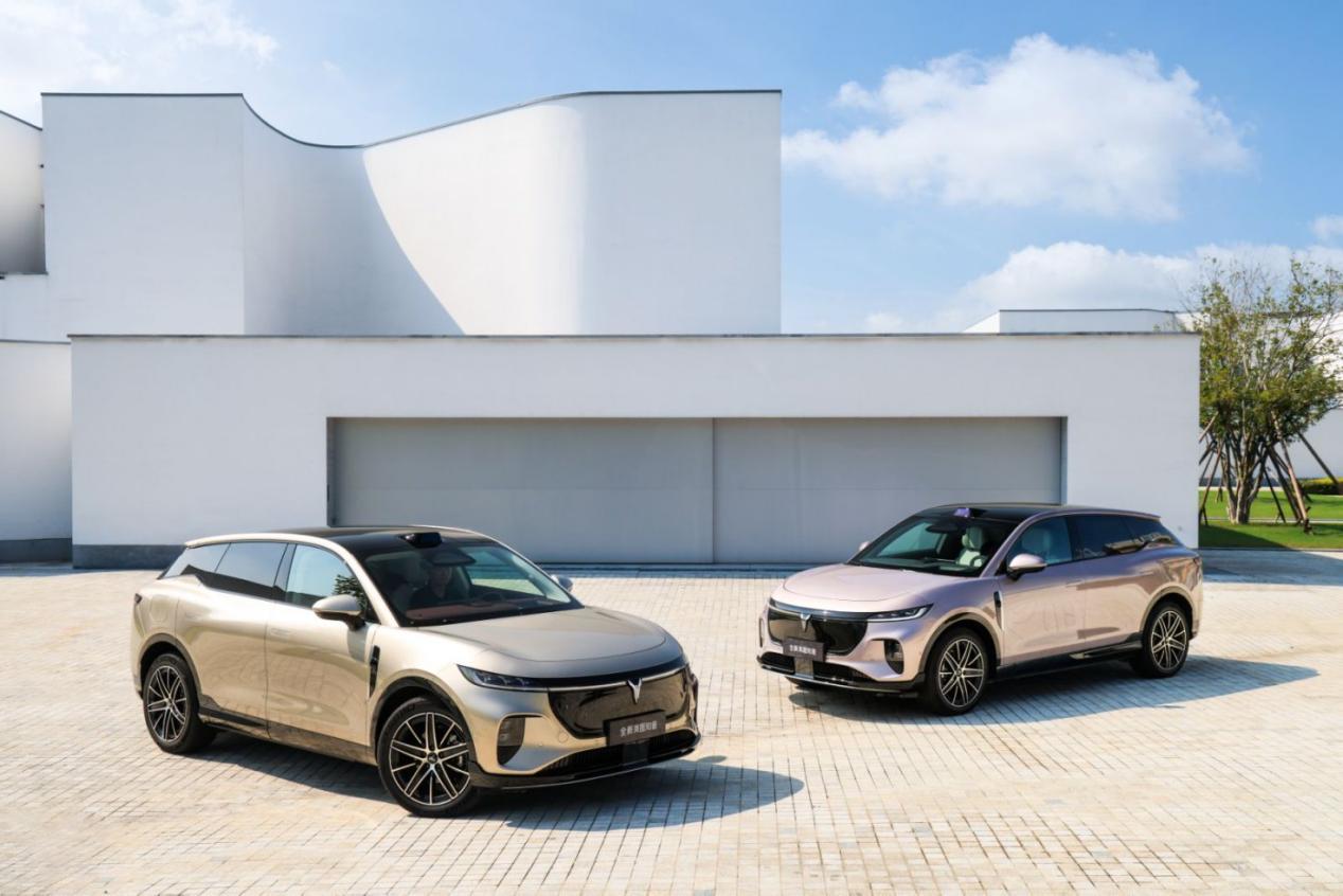 全新岚图知音开启预售,华系家用纯电 SUV,22 万元起